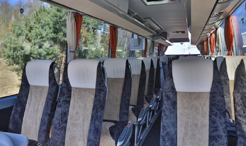 Poland: Coach charter in Pomeranian in Pomeranian and Gdańsk